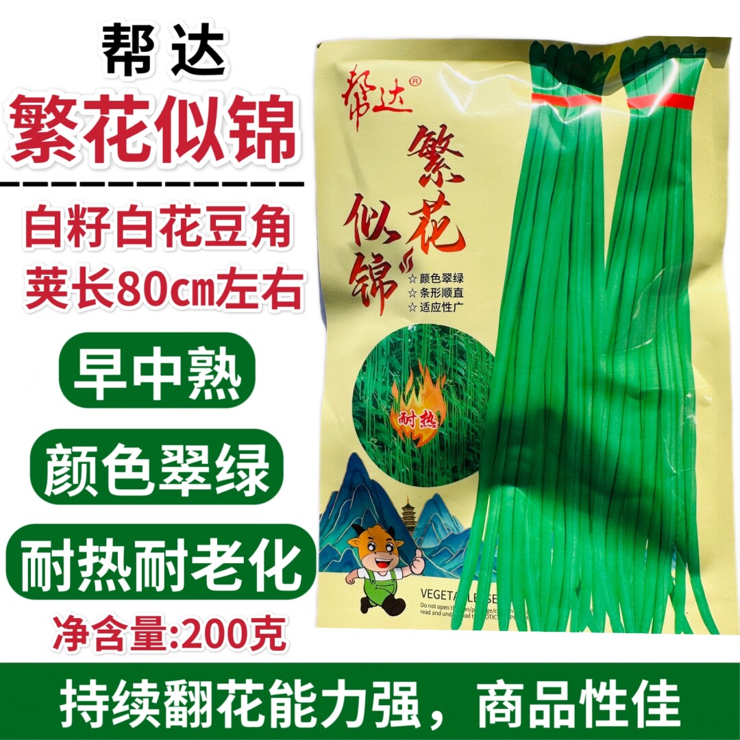 帮达繁花似锦白花豆角种子耐热早中熟高产厚肉长豇豆种籽春秋季播