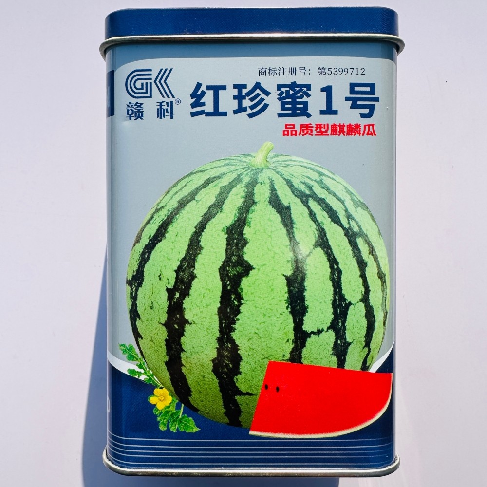 赣科红珍蜜1号西瓜种子抗病耐重茬品质型麒麟瓜种籽大田基地播种
