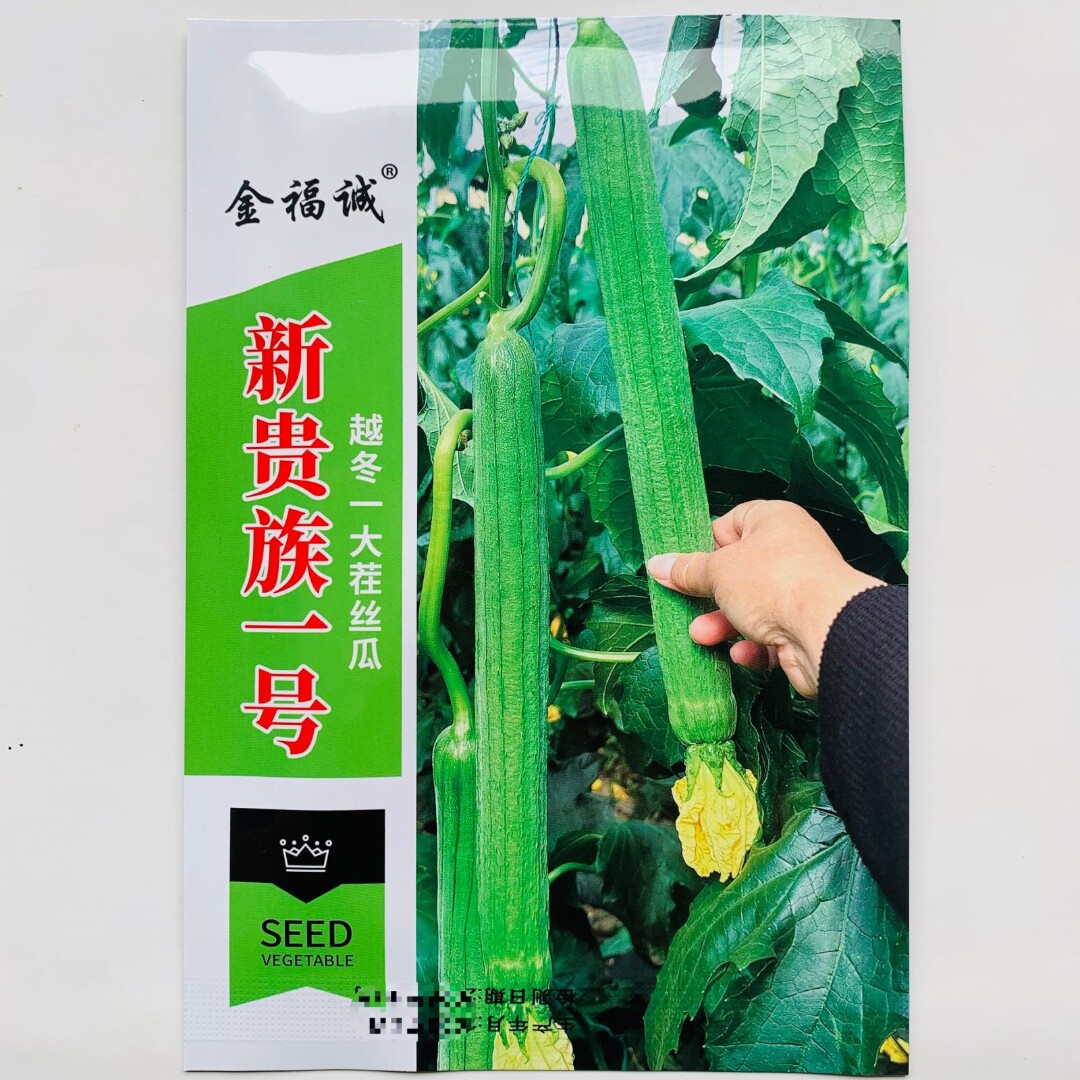 新贵族一号丝瓜种子翠绿厚肉抗病高产长丝瓜种籽农家大田基地播种