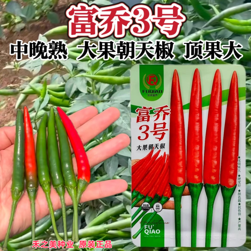 富乔3号朝天椒种子泰国大果型朝天椒种籽亮红顶果大南方热销辣椒