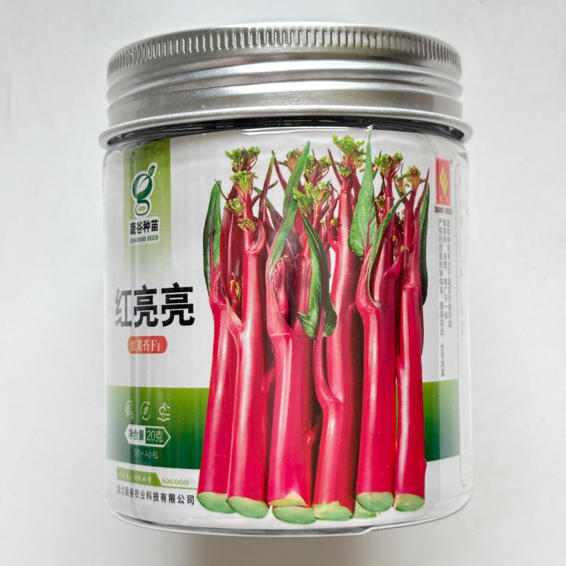 蔬谷红亮亮红菜苔种子早中熟亮红无蜡粉卖相好产量高大田基地播种