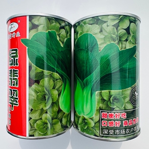 晓富绿翡翠青梗菜种籽耐热耐雨束腰上海青菜种子南北方春夏秋季播
