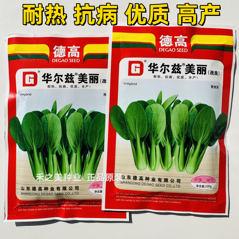 德高华尔兹美丽青梗菜种子油菜白菜种圆宝夏季耐热高产蔬菜种子