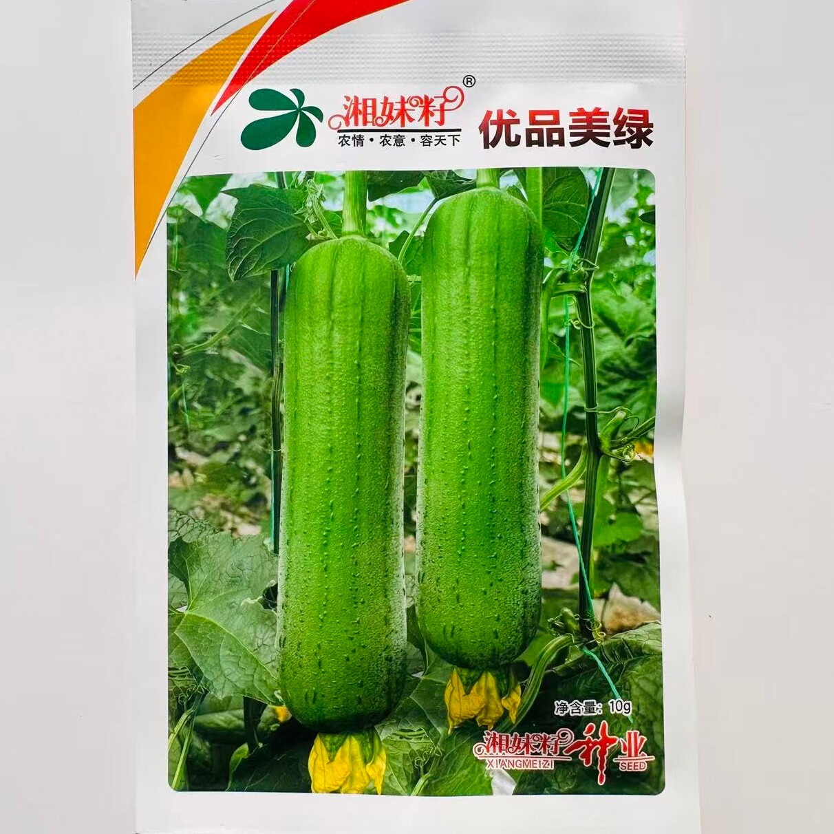 湘妹子优品美绿肉丝瓜种子抗病早中熟短圆筒形丝瓜种籽农家春夏播