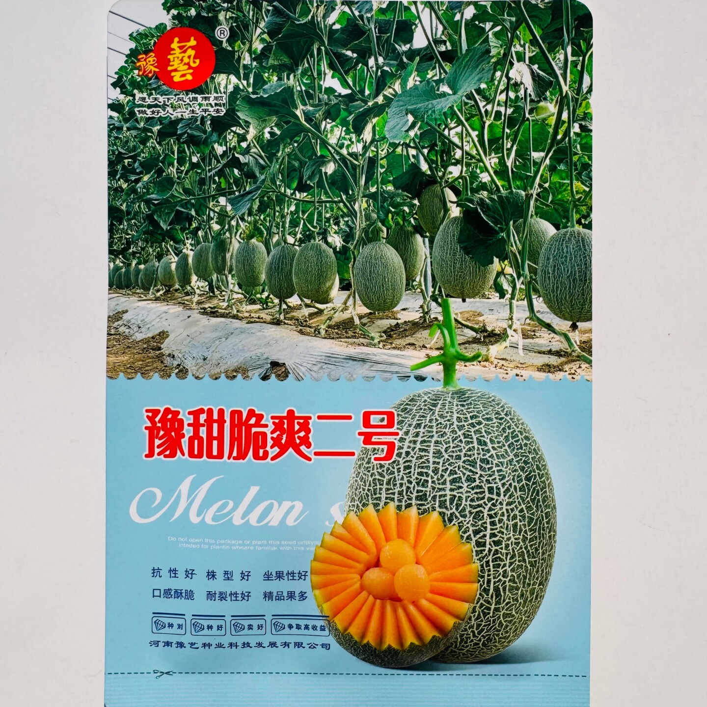 豫甜脆爽二号网纹甜瓜种子大果橘红肉哈密瓜种籽抗病高糖不易裂瓜