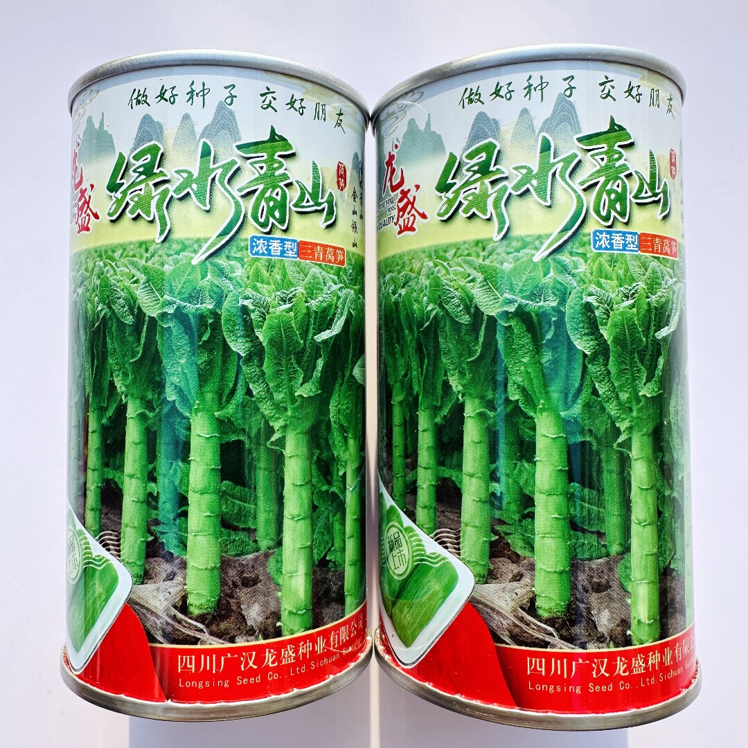 绿水清山浓香莴笋种子圆叶青皮绿肉耐寒三青莴苣菜种籽秋冬季播种