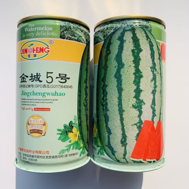 正宗金城5号西瓜种子特大甘肃压砂瓜红瓤高产特耐旱春季900粒