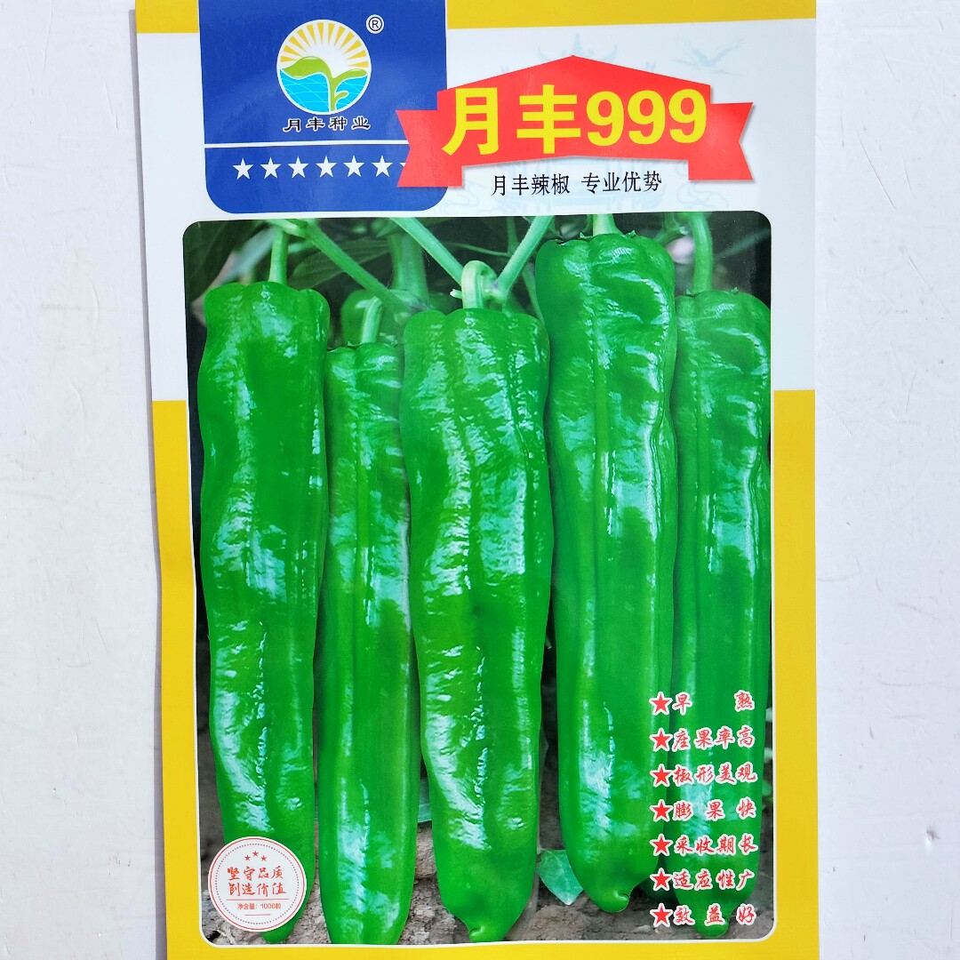 月丰999特大果牛角椒种子微辣早熟杂交辣椒种籽农家春秋季播蔬菜