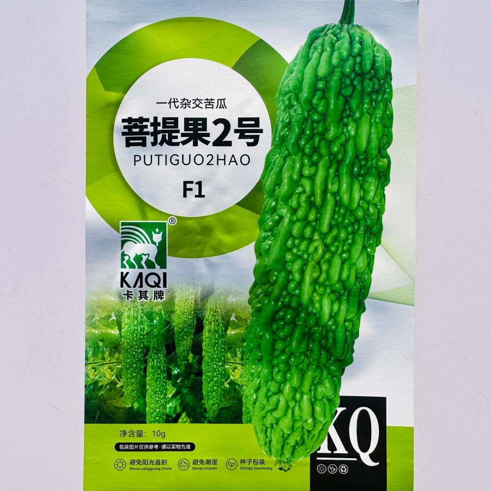 菩提果2号亮绿苦瓜种子抗病耐热中早熟挂果多杂交疙瘩绿苦瓜种籽