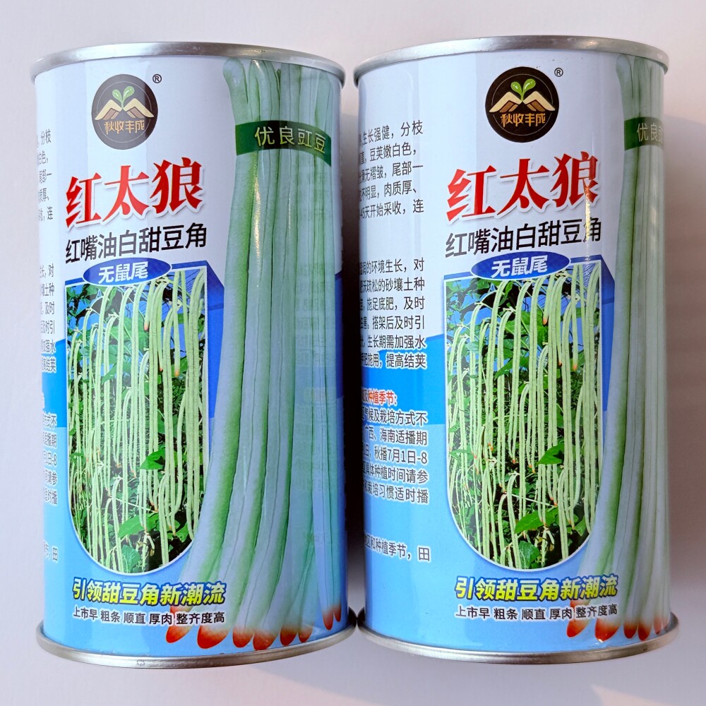 红太狼甜豆角种子中早熟红嘴油白豇豆种籽农家春秋季播种蔬菜种孑