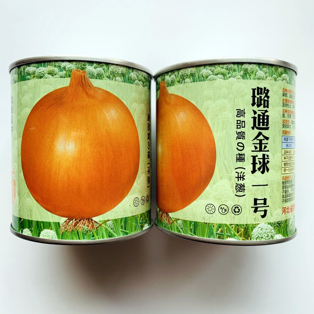 黄皮水果洋葱种籽红皮洋葱种子特大脆甜耐寒高产春秋季播蔬菜种孑