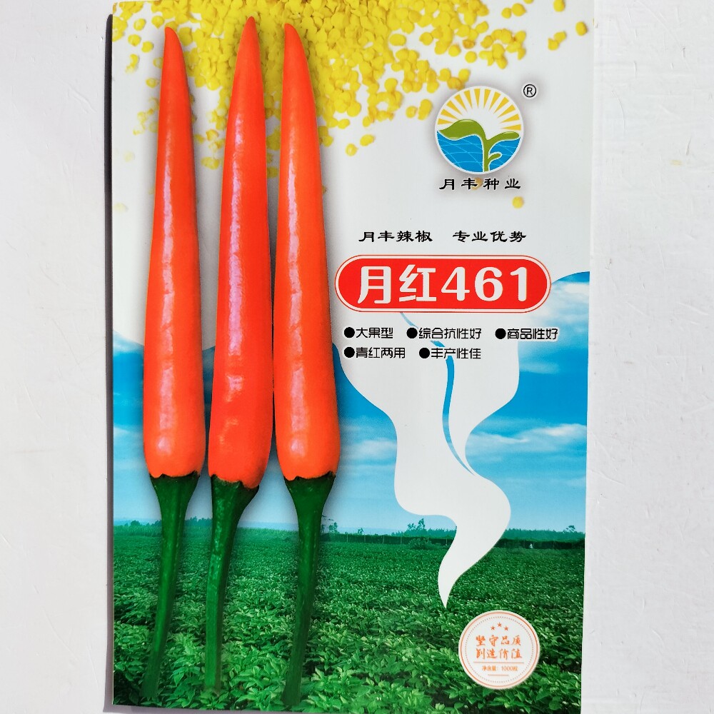 月红461大果单生朝天椒种子高产青红两用香辣中早熟杂交辣椒种籽