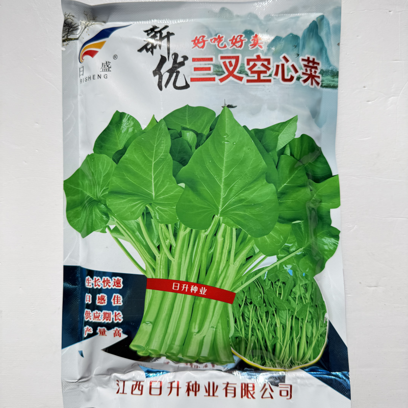 大叶空心菜种籽新优三叉空心菜种子春夏秋季水培旱地可播蔬菜种孑
