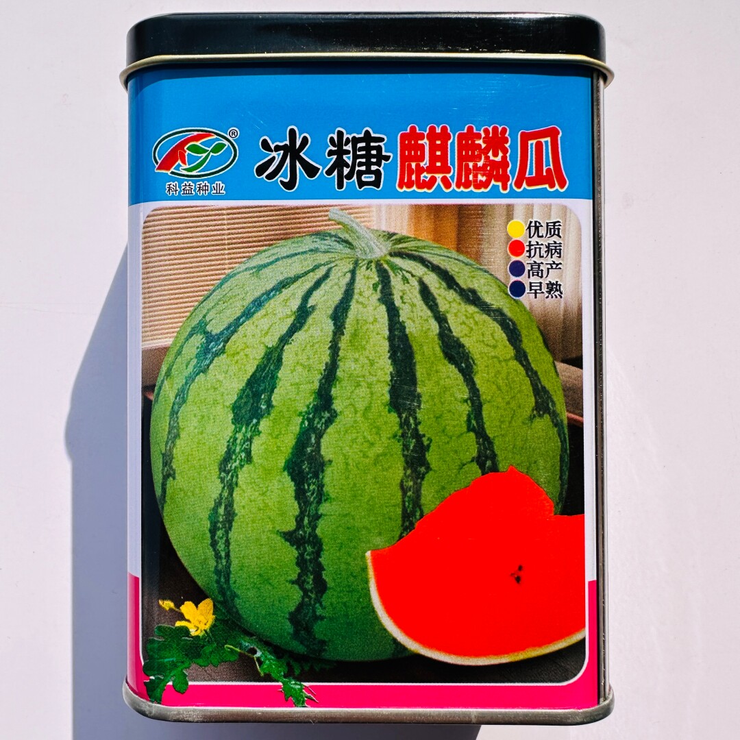 科益冰糖麒麟西瓜种子抗病高产杂交早熟绿皮红瓤西瓜种籽口感清脆