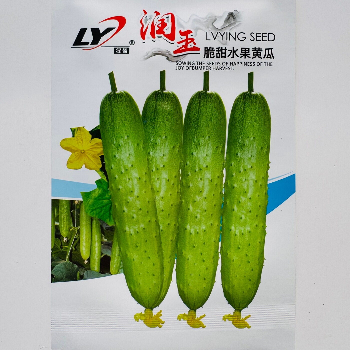 绿盈润玉脆甜水果黄瓜种子抗病高产节节瓜黄瓜种籽南北方春秋季播
