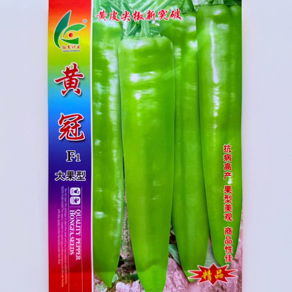 黄冠黄皮尖椒种子抗病高产早熟粗长大果牛角椒种籽大田基地春秋播