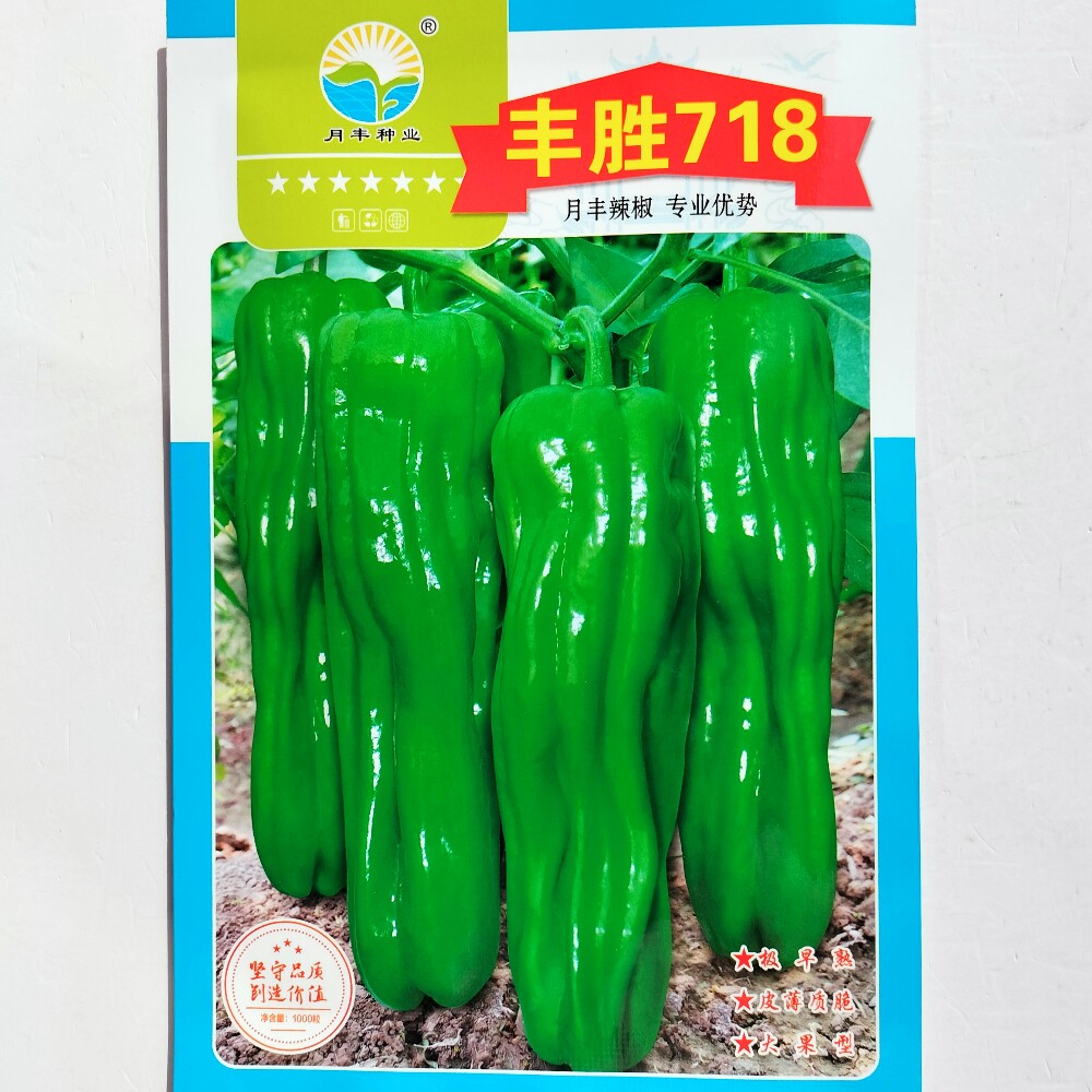 丰胜718长灯笼椒种子杂交早熟高产大果薄皮辣椒种籽农家春秋季播