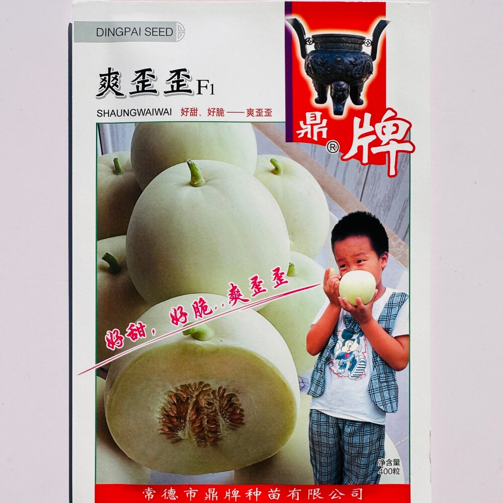 鼎牌爽歪歪甜瓜种子早熟甜度高白皮白肉高产薄皮香瓜种籽口感酥脆