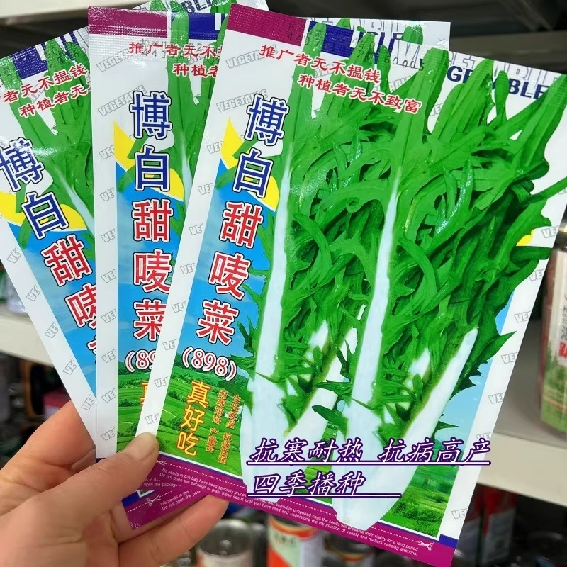 博白甜唛麦菜种子四季播种香油麦菜种籽抗病高产耐热耐寒蔬菜种孑