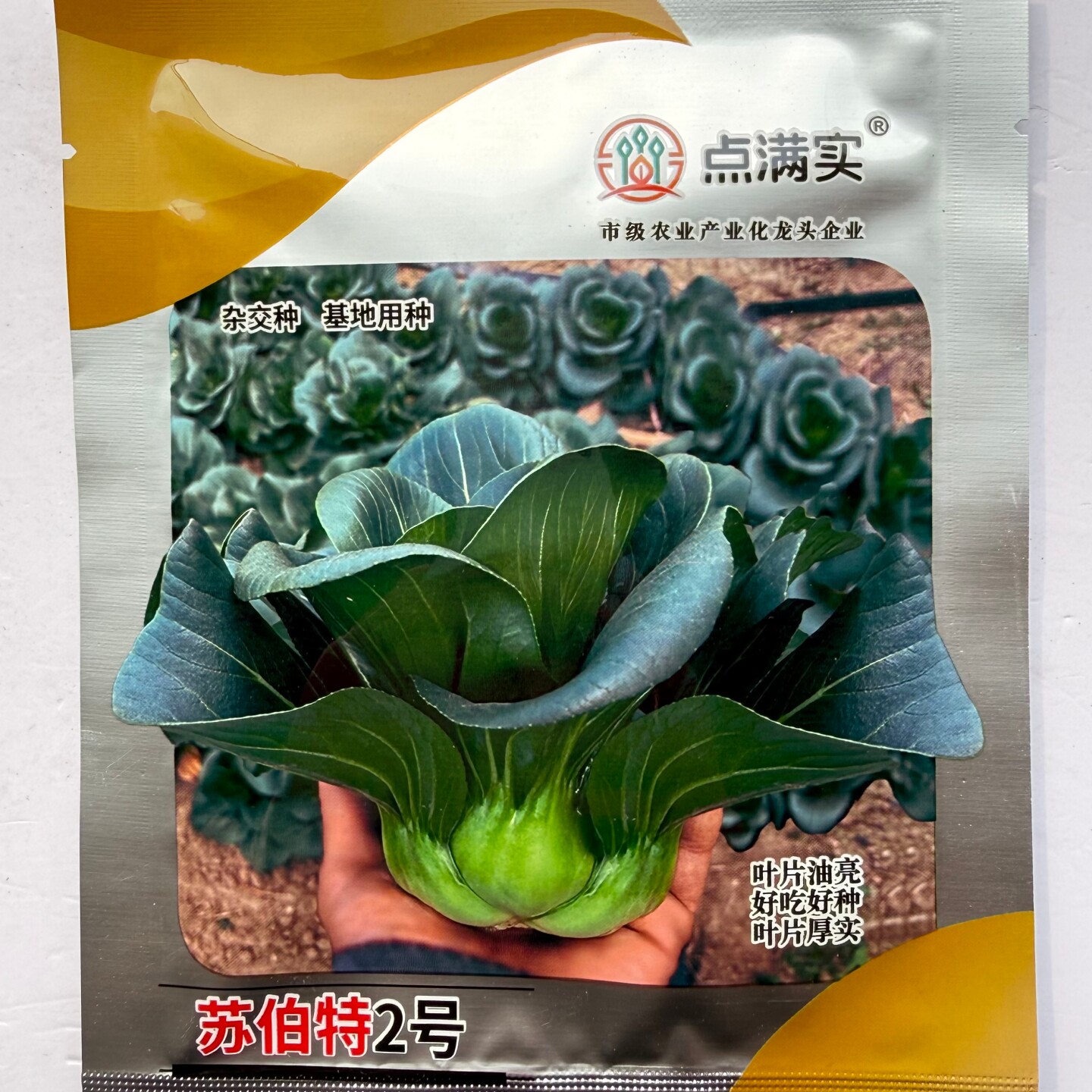 苏伯特2号杂交黑叶苏州青种籽高产耐寒矮箕油亮苏州青黑菜种子