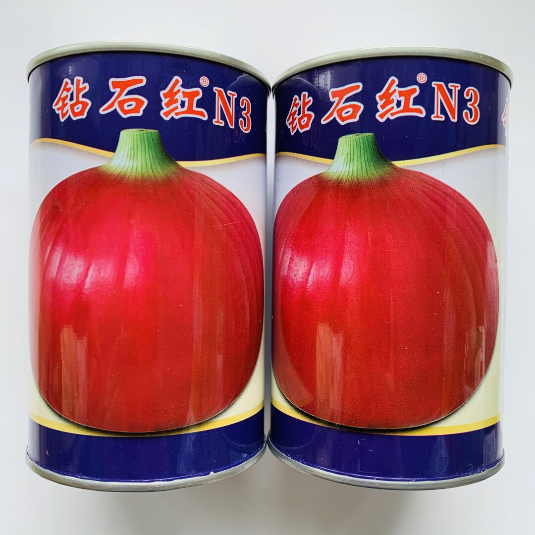 钻石红N3洋葱种子特大高产紫红皮洋葱种籽大田基地秋季播蔬菜种孑