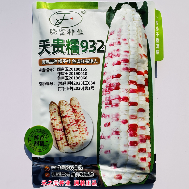 天贵糯932彩甜糯玉米种子薄皮大棒粘糯香甜早熟糯米高产量南方孑