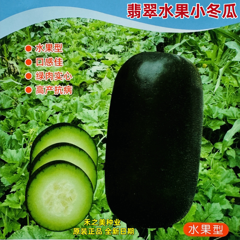 翡翠水果冬瓜种子黑皮蔬菜迷你冬瓜种籽四季盆栽春秋季播蔬菜种孑