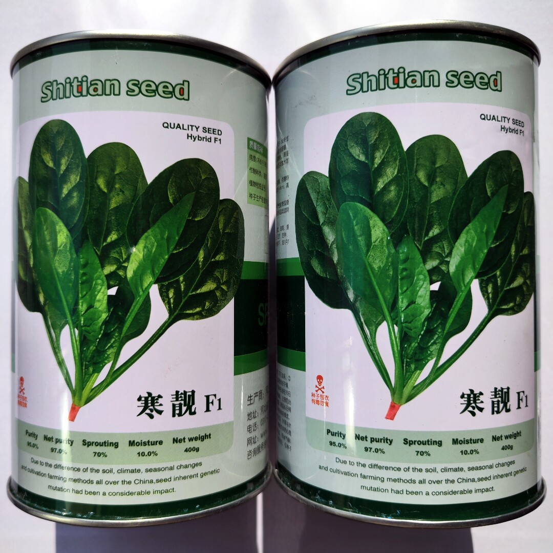 神禾寒靓菠菜种子抗病耐寒杂交大田基地播菠菜种籽农家秋冬季播种