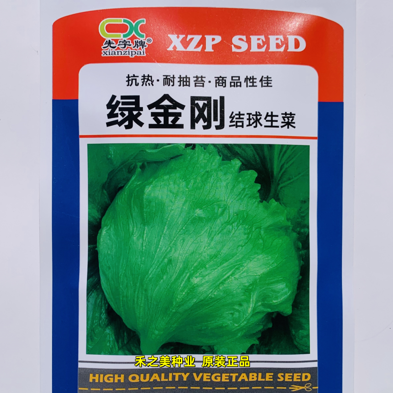 绿金刚结球生菜种子球生菜种籽包心球形冬季四季盆栽蔬菜菜籽孑种