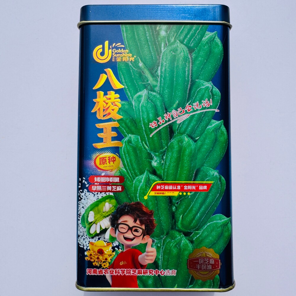 金阳光八棱王原种早熟三黄芝麻种子矮脚单杆高产芝麻种籽春夏季播