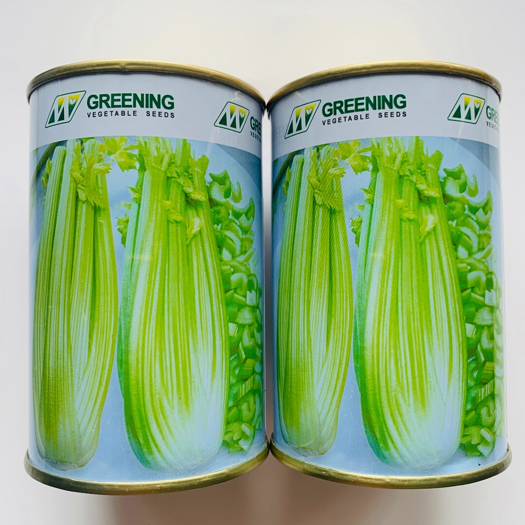 皇后芹菜种子CLSUE公司西芹种孑籽大田基地种籽四季春夏秋香原罐