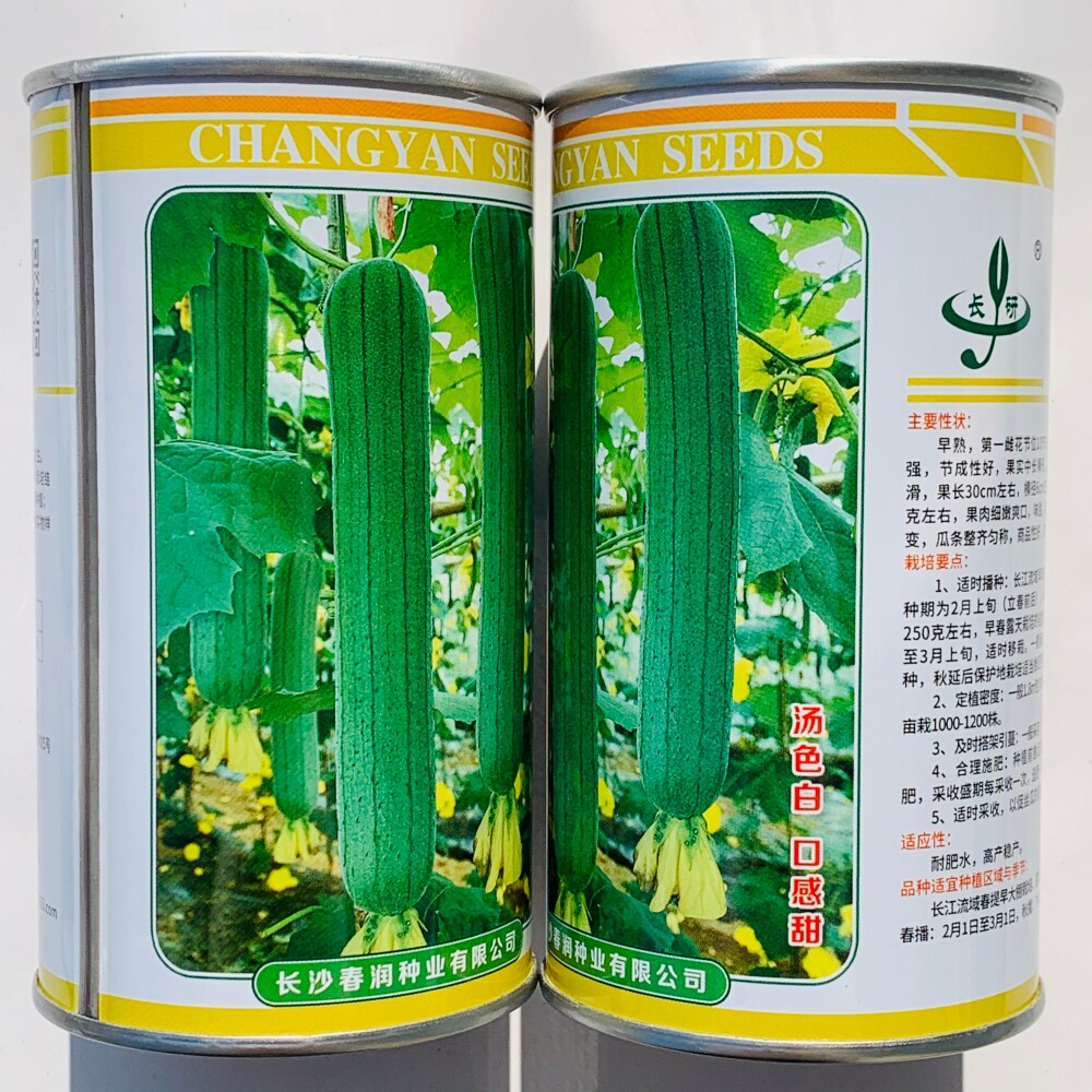 美味丝瓜种子早熟高产抗病耐热春秋季播长香丝瓜蔬菜种籽基地优选