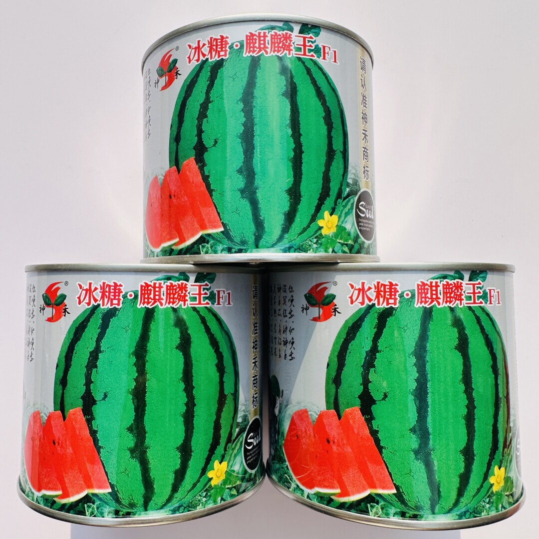 冰糖麒麟西瓜种子神禾冰糖麒麟王优质西瓜种籽孑抗病早熟杂交一代