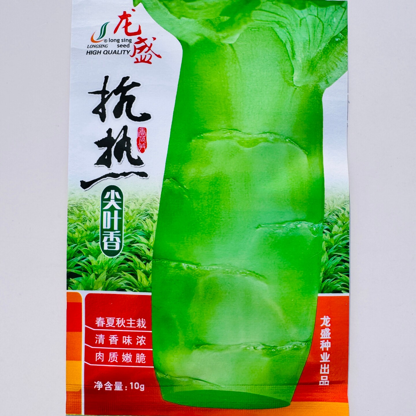 抗热尖叶香莴笋种子抗高温莴苣种子春夏秋三季尖叶莴笋种子香味浓