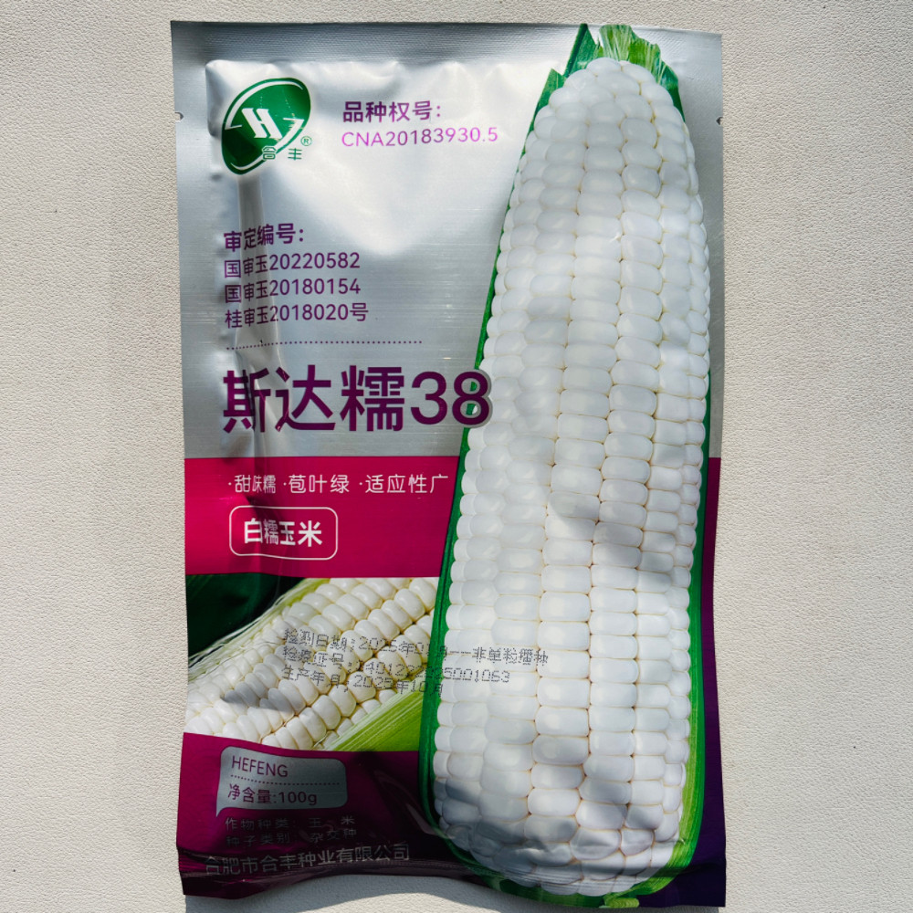 合丰斯达糯38白糯玉米种子大棒高产鲜食甜糯玉米种籽农家春秋季播