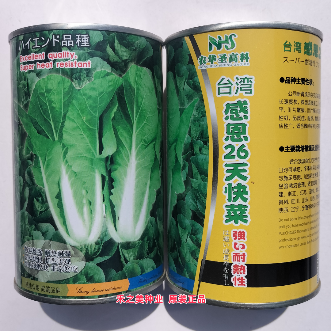 台湾感恩26天快菜种子四季小白菜青菜速生快菜种籽孑蔬菜籽种大全