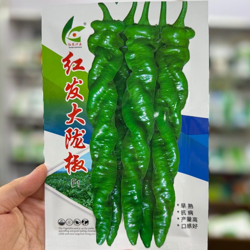 红发大陇椒种子香辣薄皮高产特大螺丝椒辣椒种籽大田基地春秋季播