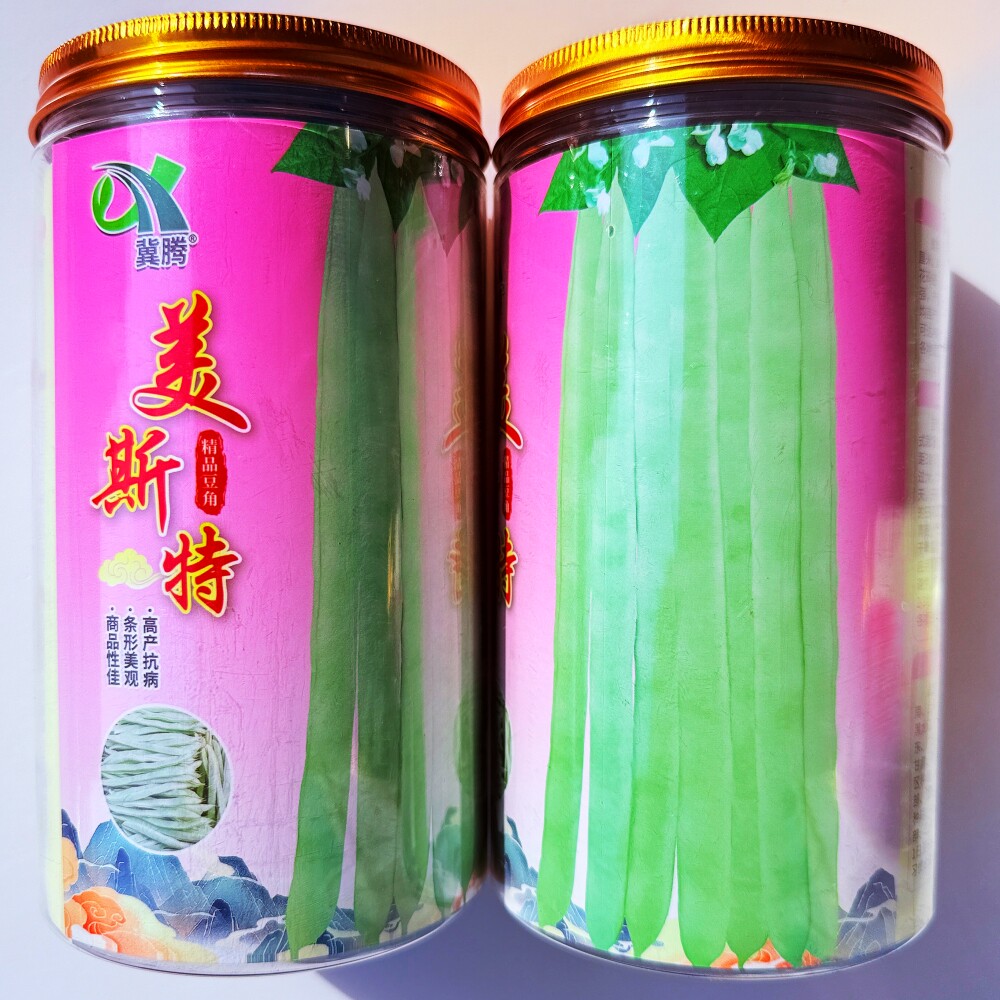 美斯特精品豆角种子 抗病高产扁圆白绿色四季豆种籽 农家春秋季播
