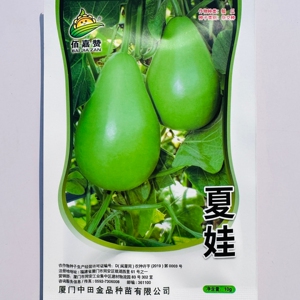 夏娃蒲瓜种子中熟绿皮白肉圆瓠瓜种子农家菜葫芦春秋季播蔬菜种孑