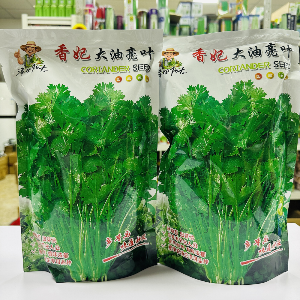 香妃大油亮叶香菜种子浓香耐热耐寒高产香菜芫荽种籽农家春秋季播