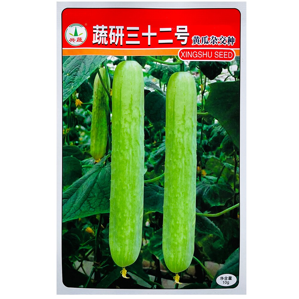 兴蔬三十二号强雌白黄瓜种子杂交早熟商品性好黄瓜种籽春秋季播种