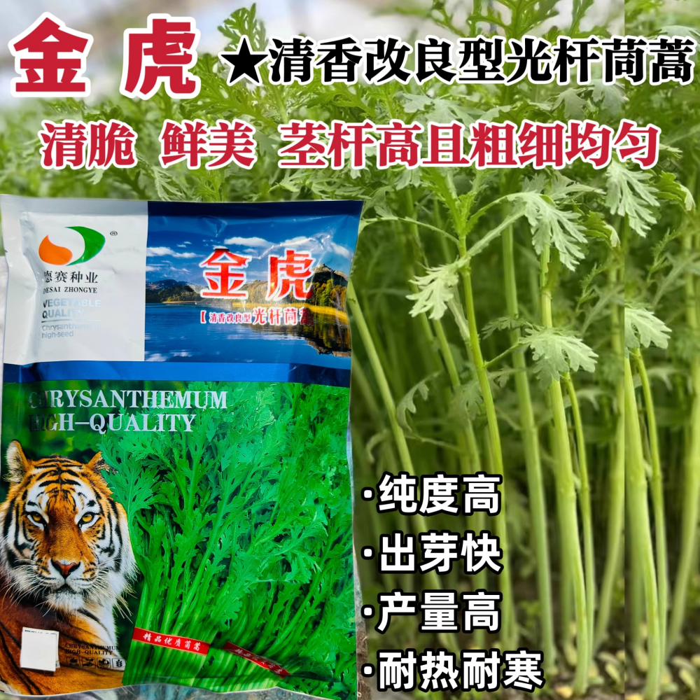 德赛金虎清香光杆茼蒿种子高产抗病耐热耐寒茼蒿菜种籽大田基地播