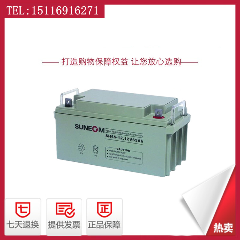 XINNENG SUNEOM 배터리 SH24-1212V24AH38AH65AH100AH120A DC 스크린 UPS 배터리