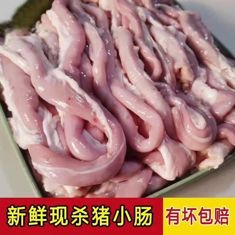 新鲜猪小肠猪粉肠十二指肠猪肠猪尾巴肠猪粉肠批发