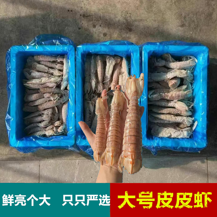 5斤特大号皮皮虾虾姑虾爬子回蒸濑尿虾冷冻富贵虾皮皮虾