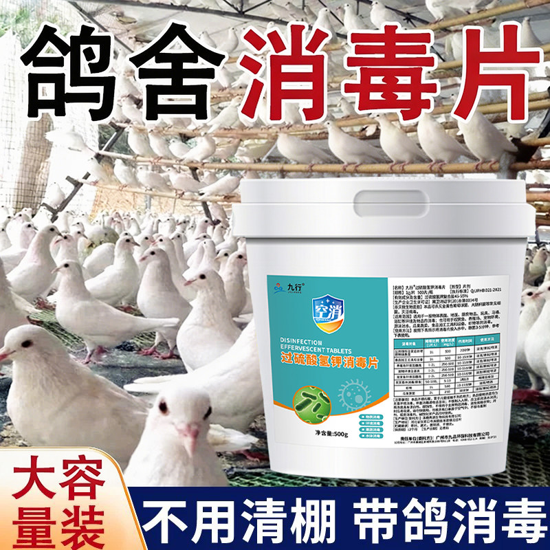 鸽子专用消毒液过硫酸氢钾消毒剂鸽舍鸽子笼喷雾消毒液养殖场专用