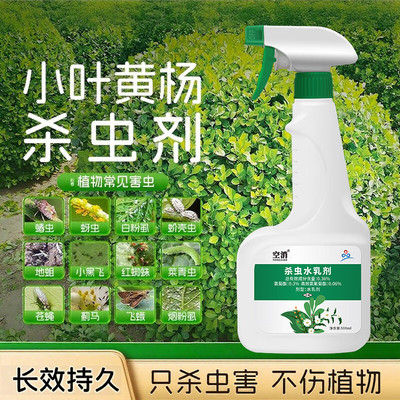 小叶黄杨杀虫剂驱虫非专用树除虫药盆景虫害生蚧壳虫介壳虫打芥壳