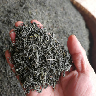 湖北麻城茶叶龟山绿茶新茶龟山雨前茶护儿山新茶袋装500克