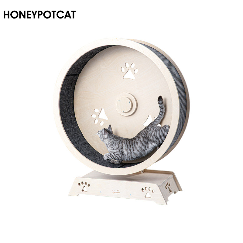 蜜罐猫 第三代猫跑步机跑轮进口多层实木猫爬架猫玩具滚轮 220505