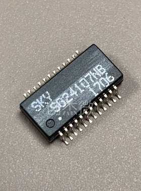 SG24107NB SKY现货